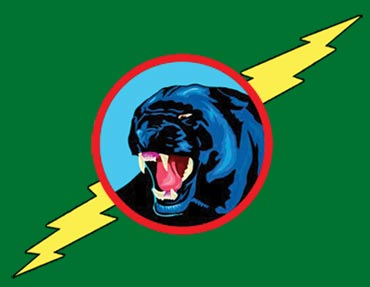 Pinewood Derby Car Decal