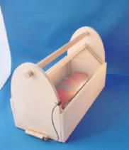 Pinewood Derby Car Carrying Case